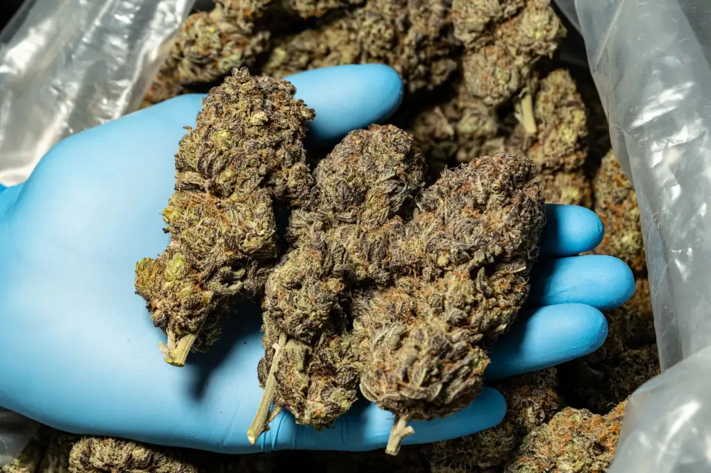 天津速万商贸保鲜膜与锡纸产品线全解析及选购建议